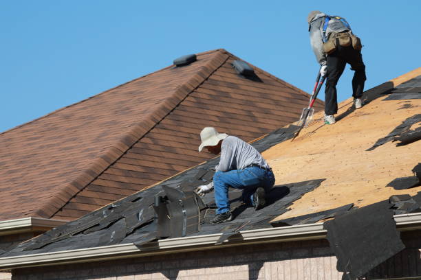 Best Roof Waterproofing  in Cutten, CA